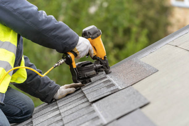 Best Chimney Flashing Repair  in Fyffe, AL
