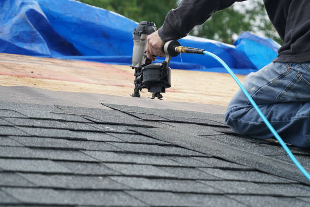 Best Storm Damage Roof Repair  in Fyffe, AL