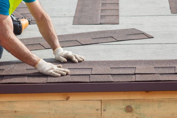 Best Skylight Installation and Repair  in Fyffe, AL